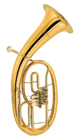 Tenorhornklein