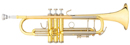trompete-klein_bearbeitet-1